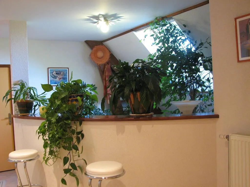 Le Pas De L'Ane Chambres D'Hotes Saint-Ondras Bed and Breakfast