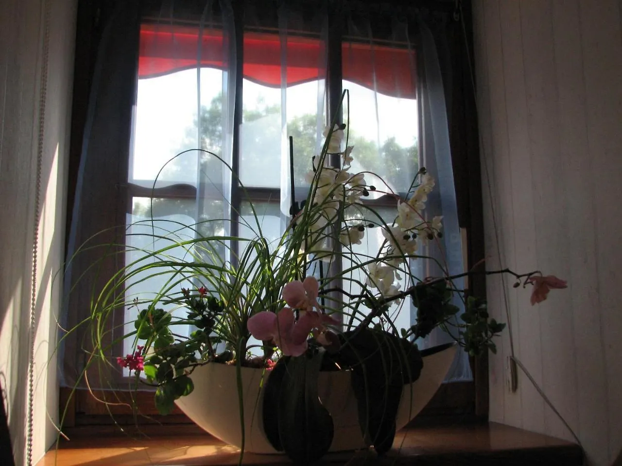 Le Pas De L'Ane Chambres D'Hotes Saint-Ondras Bed and Breakfast